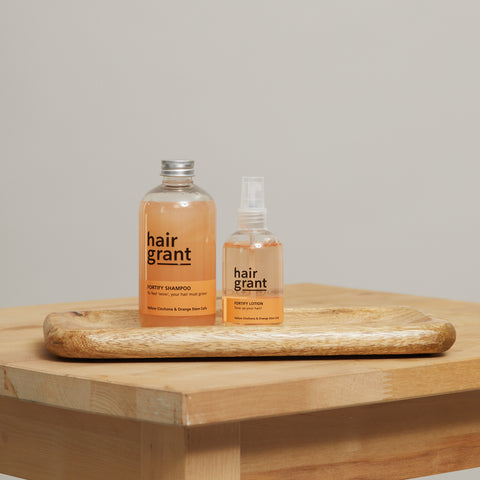 Fortify Routine